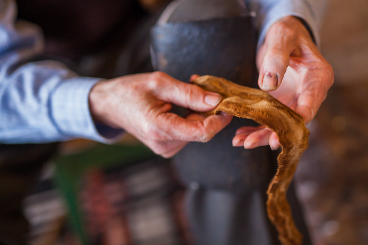 Transylvanian forest charm / Amadou Bracelet