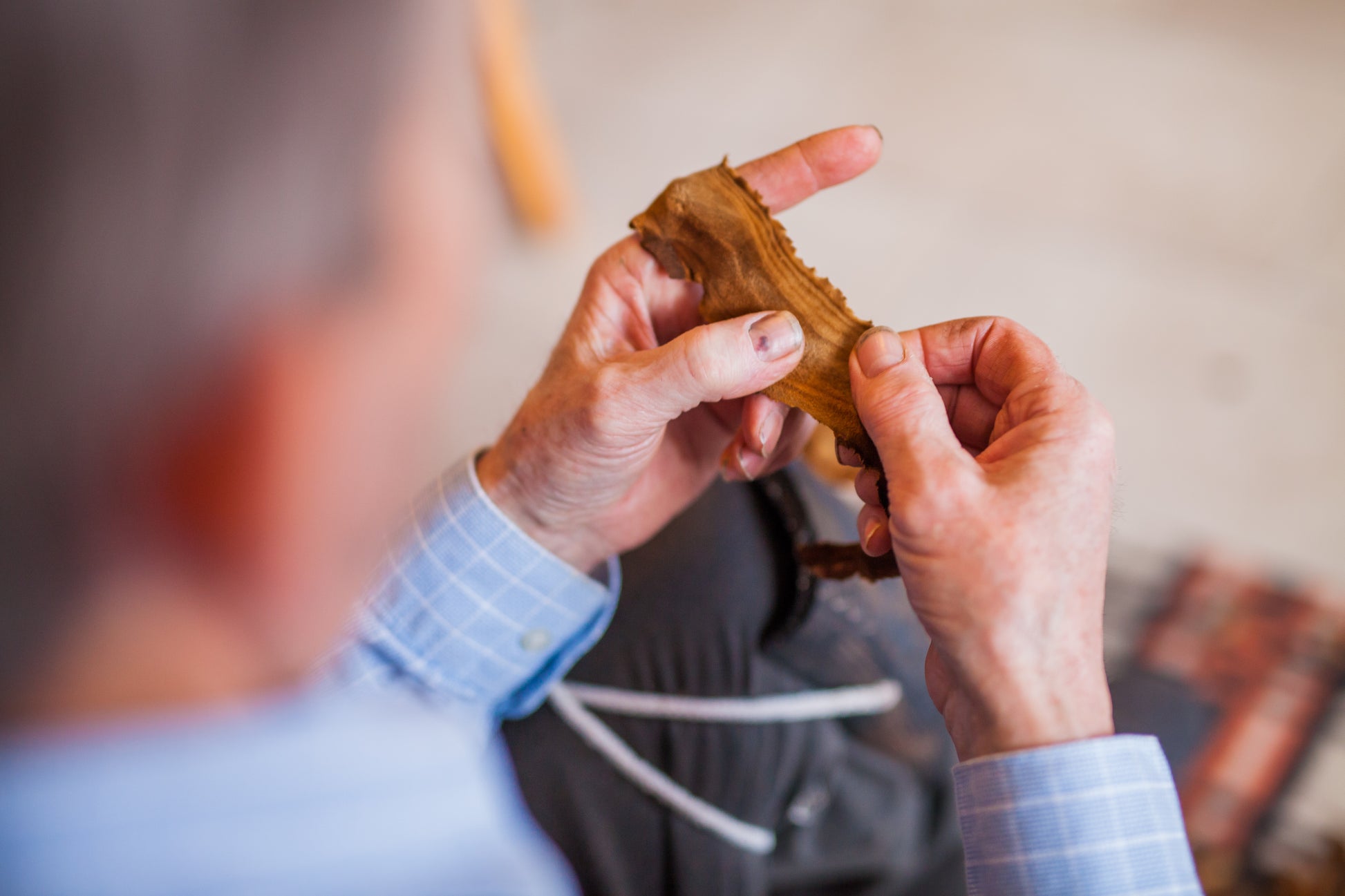 Person stretching a piece of amadou  with a blurred background
