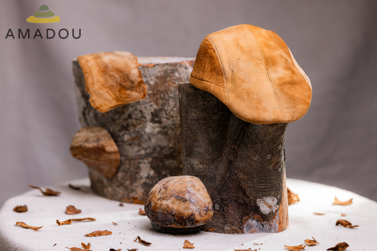 Amadou flat cap - mushroom hat/beret/new boys cap