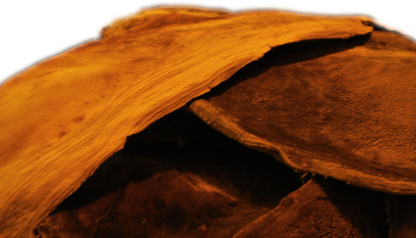 close-up of stretched amadou sheets